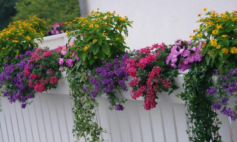dettaglio balcone fiorito - Copia