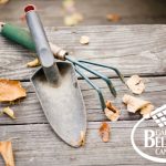 LAVORI DA EFFETTUARE IN GIARDINO E NELL’ORTO IN AUTUNNO