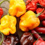 I PEPERONCINI, mantenimento e usi.