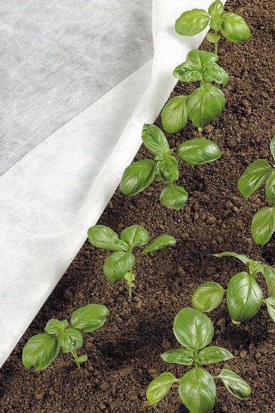 tessuto-non-tessuto-agricoltura-vendita-online