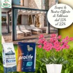 Scopri le Offerte Esclusive di Febbraio nel Nostro Garden!