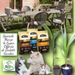 Speciale Marzo: le Super Offerte di Garden Bedetti