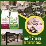Giardino d’Estate: Sconti Esclusivi su Piante e Accessori