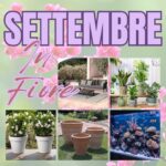 Settembre in Fiore: Offerte Esclusive su Piante e Accessori