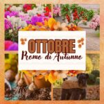 Giardino d’Autunno: Scopri le Nostre Novità e Offerte!
