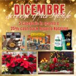 Garden di Natale: Offerte che Fanno Fiorire il Sorriso!