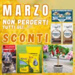 Il Verde Risveglio della Primavera! Scopri le offerte di Marzo!