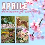 Aprile in Fiore Sboccia la Primavera: Sconti e Sorprese per Te