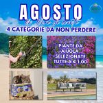 Promo Agosto-2025