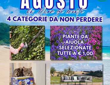 PROMO-AGOSTO Promo Agosto-2025