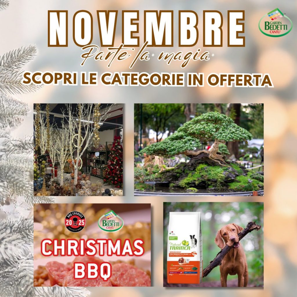 Promo Novembre Garden Bedetti