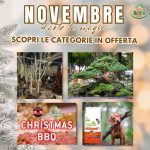 Promo Novembre Garden Bedetti