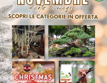 novembre (2) Promo Novembre Garden Bedetti