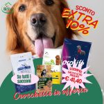 Gennaio: qualità per la casa, verde e amici a 4 zampe.